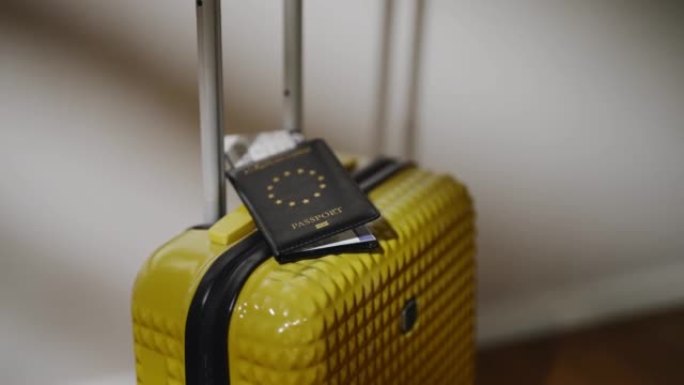 旅行箱上的欧盟护照。