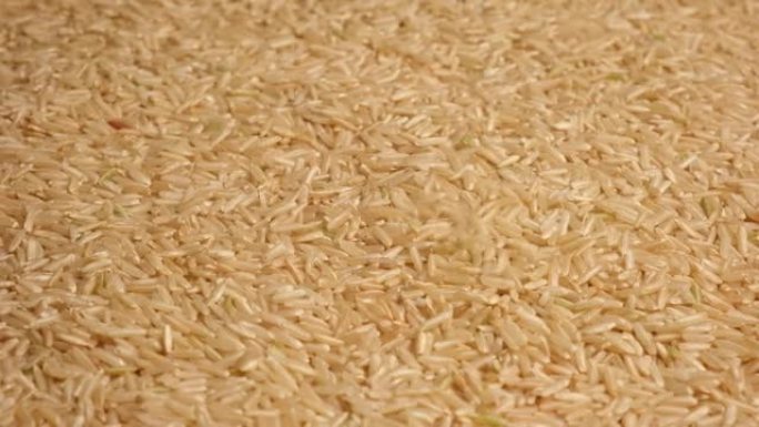 干米壁纸。长糙米旋转。特写。谷物掉落倒了一堆。世界危机，出口，进口。收获问题，制裁。价格上涨和粮食供