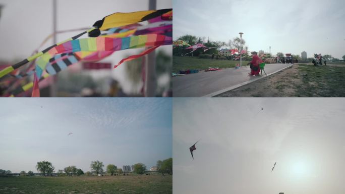 浐灞湿地公园放风筝