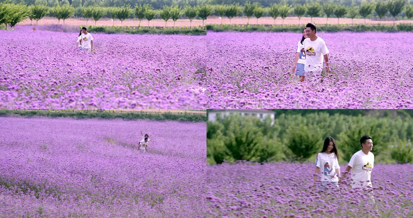 情侣薰衣草花海恋爱