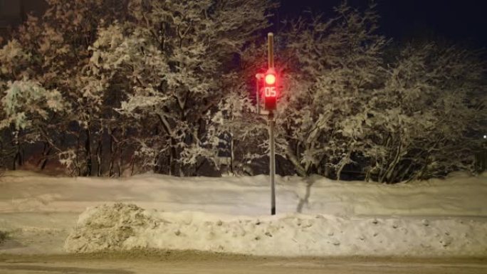 冬天的雪树交通灯