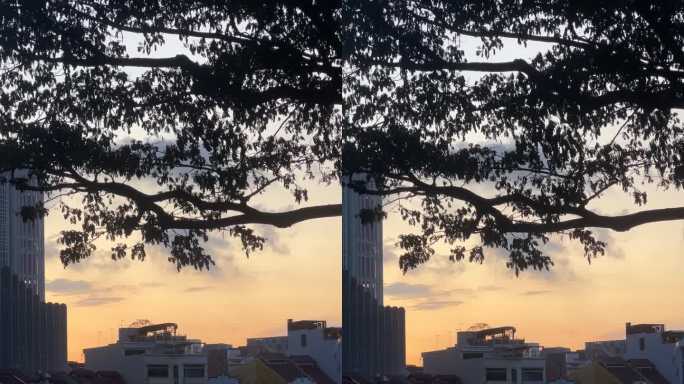 美丽的河畔夕阳