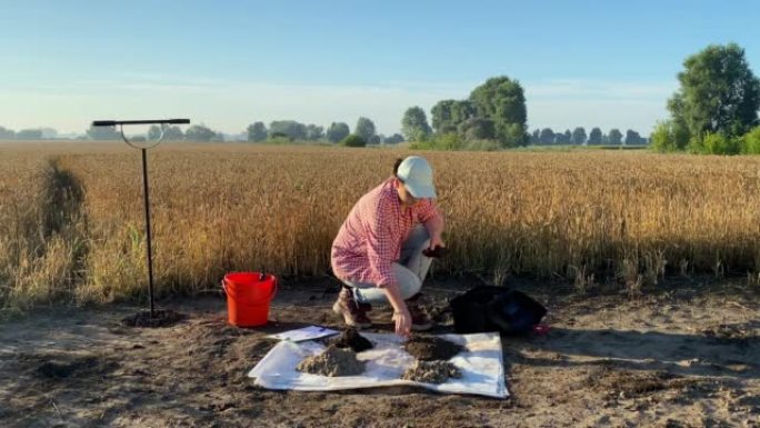 女性农学家通过在室外使用土壤测试仪测量土壤特征