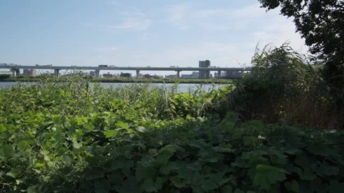 东京荒川河床景观2022 8月