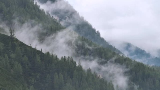 空中无人机拍摄了多洛米蒂与福雷斯，白云岩山脉，白云岩阿尔卑斯山或白云岩阿尔卑斯山的雾状松树树林，是位