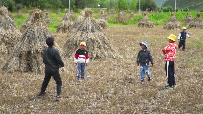 足球运动员 运动场 健康生活方式