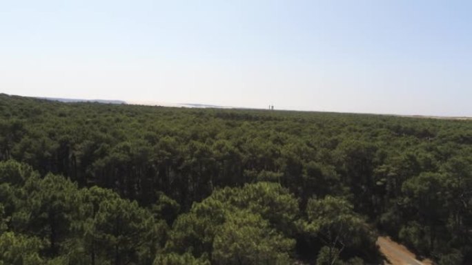 针林，阿基坦白鼬角的鸟瞰图