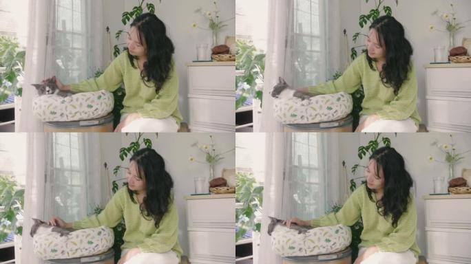 4k的视频片段，亚洲妇女在猫的床上抚摸和抚摸一只可爱的灰猫。