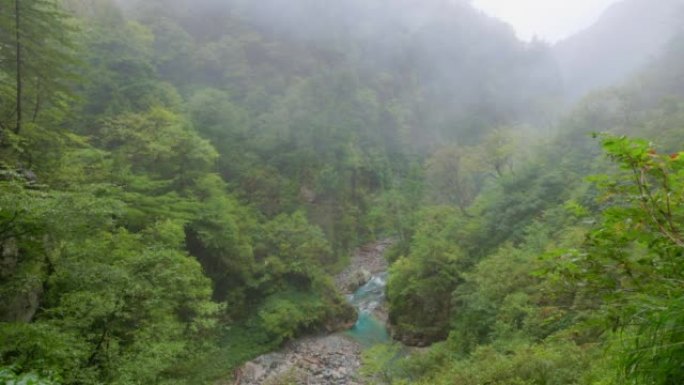 雨中的纯山森林和河流