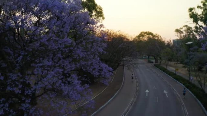 拉戈市长del Bosque de Chapultepec