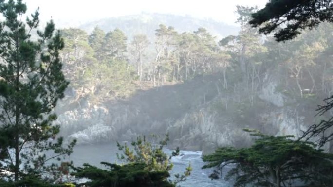 悬崖的岩石峭壁，海洋海滩，波波斯角，加利福尼亚海岸。海浪轰鸣。