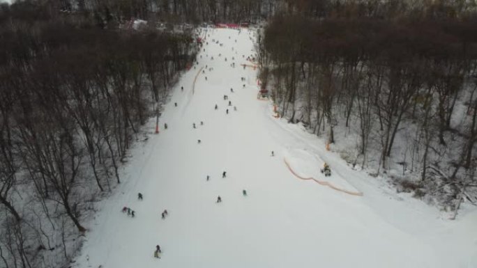 滑雪运动，冬雪。森林里布满了秀场的树木。寒冷的冬天下雪的天气。滑雪胜地。乌克兰，基辅