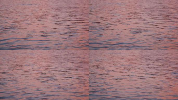 4k慢动作水平镜头。安静的粉红色水面特写。天空反射在湖泊或河流表面。大海被风轻微搅动。简约的自然背景