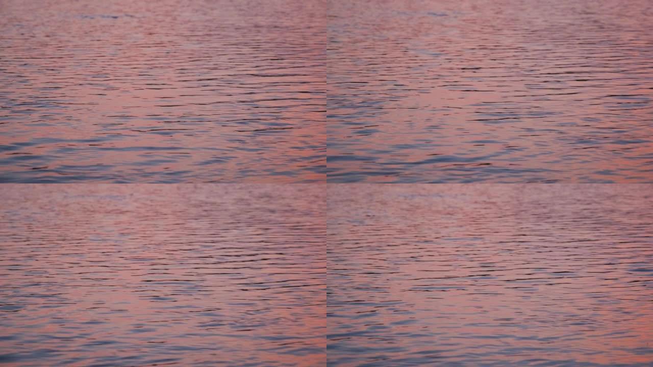 4k慢动作水平镜头。安静的粉红色水面特写。天空反射在湖泊或河流表面。大海被风轻微搅动。简约的自然背景