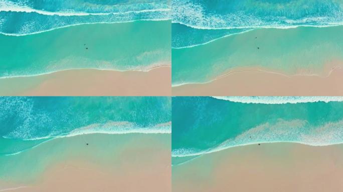 西澳大利亚州大角国家公园埃斯佩兰斯一个家庭享受美丽海滩的航拍画面