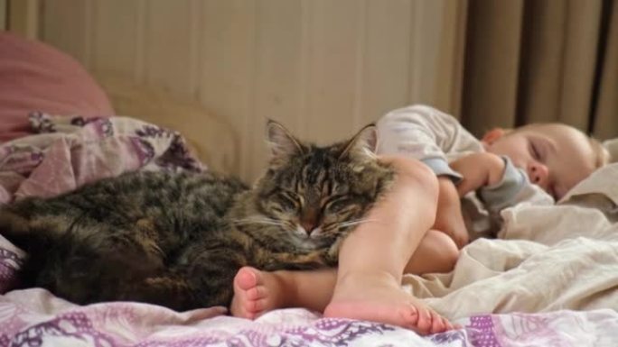 蓬松的虎斑猫躺在婴儿脚下的特写镜头。在舒适的卧室里，猫和孩子一起睡在柔软的床上。家居舒适的概念。带着