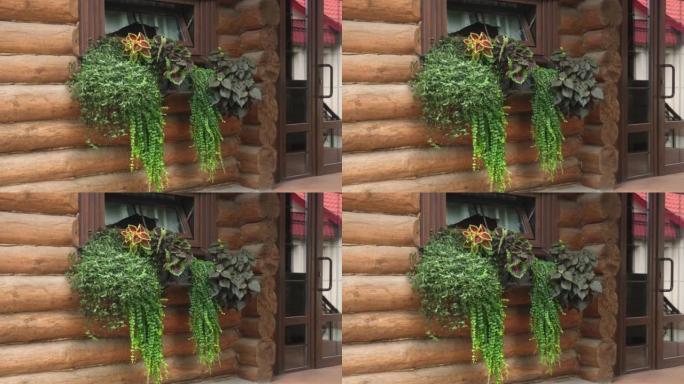 木屋中装饰精美的窗户。外面装饰着一个小窗户，上面装饰着一个小花坛。带有优雅花朵的盒子