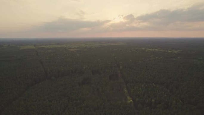 飞越森林。高大的树木。直升机上的景色。直升机搜索。在相同高度的高空飞行，摄像机向前移动。版本1