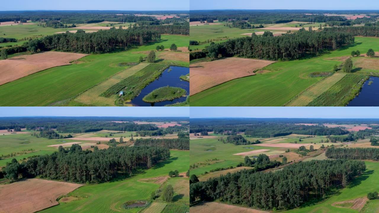 鸟瞰图乡村景观。波兰农场，乡村风光农田夏季森林。欧洲家庭农场变成波兰的绿地。鸟瞰农舍，丘陵田地树木森