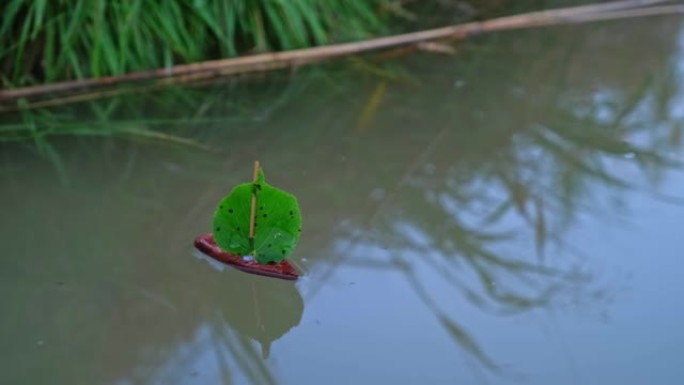 手工制作的帆船玩具从一块木头和树叶上雕刻而成，漂浮在平静的深蓝色水湖中