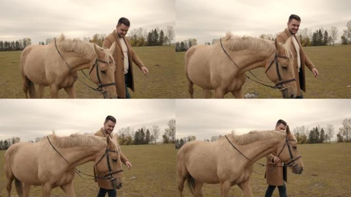 英俊的男人在牧场上与马同行