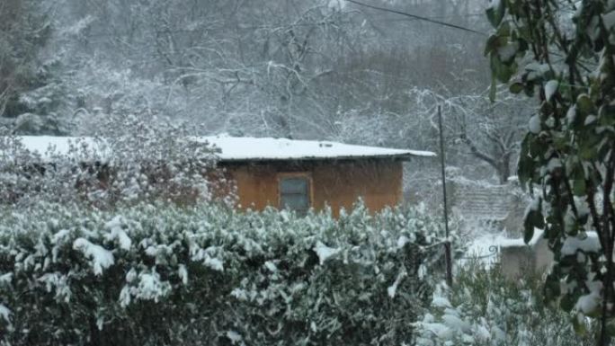 雪落在一座古老的木制小屋前，周围是森林和常青树