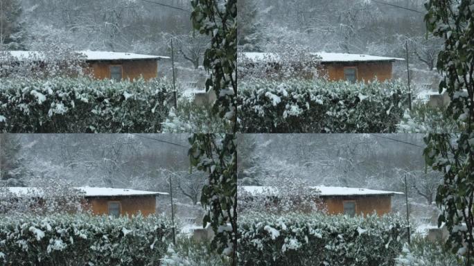 雪落在一座古老的木制小屋前，周围是森林和常青树