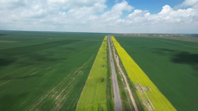 Aerival放大了油菜田沿线的道路