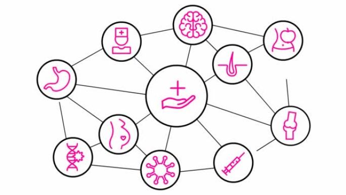 白色圆圈中的动画线医学图标。粉色符号。孤立在白色背景上的线性矢量插图。
