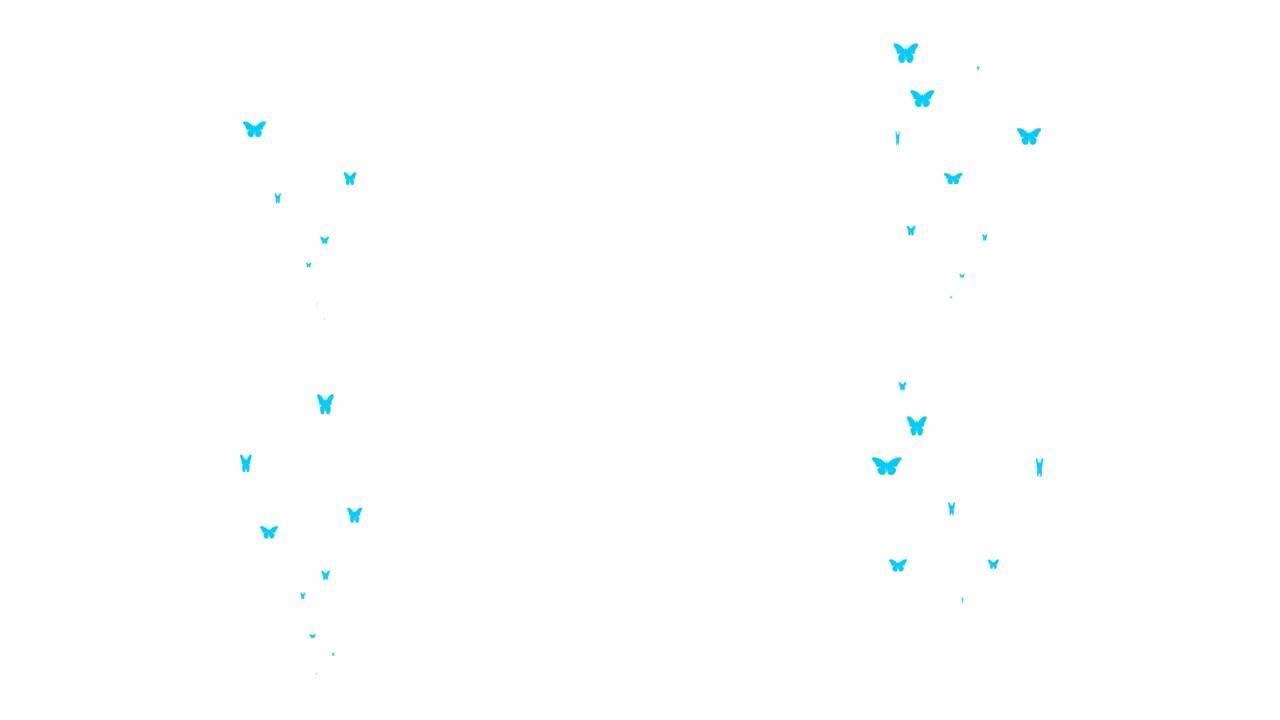 动画蓝色蝴蝶从下往上飞。飞蝶的喷泉。夏天的概念。矢量插图孤立在白色背景上。