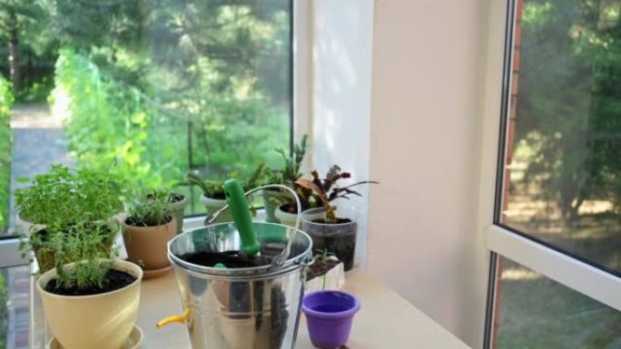Steadicam shot: 花店的工作场所，配有一套园艺工具，桌子上有土壤和室内植物的金属桶