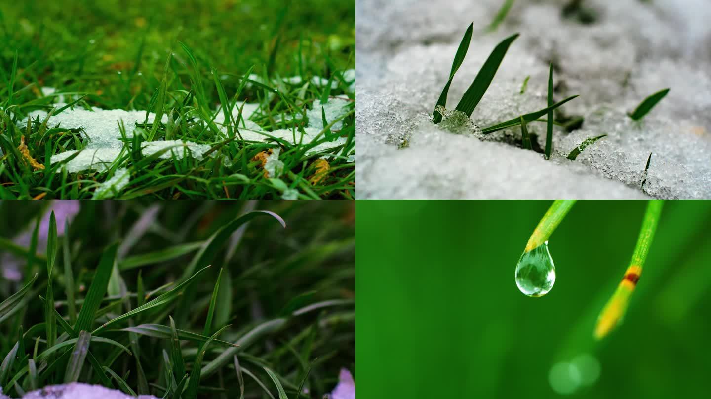 雪融化 雪消融  从冬天到春天的季节变化