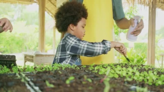 黑人园丁父亲教儿子在蔬菜苗圃种植幼苗。