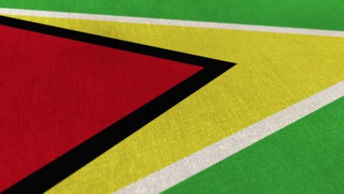 圭亚那国旗动画库存视频-圭亚那国旗纹理3d渲染背景-高度详细的织物图案