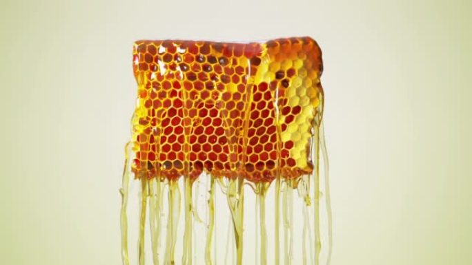 Close up Slow motion Honey Liquid Dripping from Ho