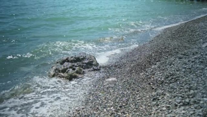 黑色海石制成的圆形鹅卵石