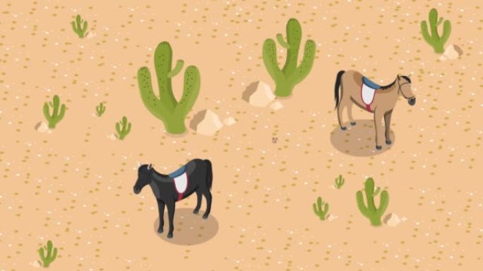 两匹马站在沙漠上