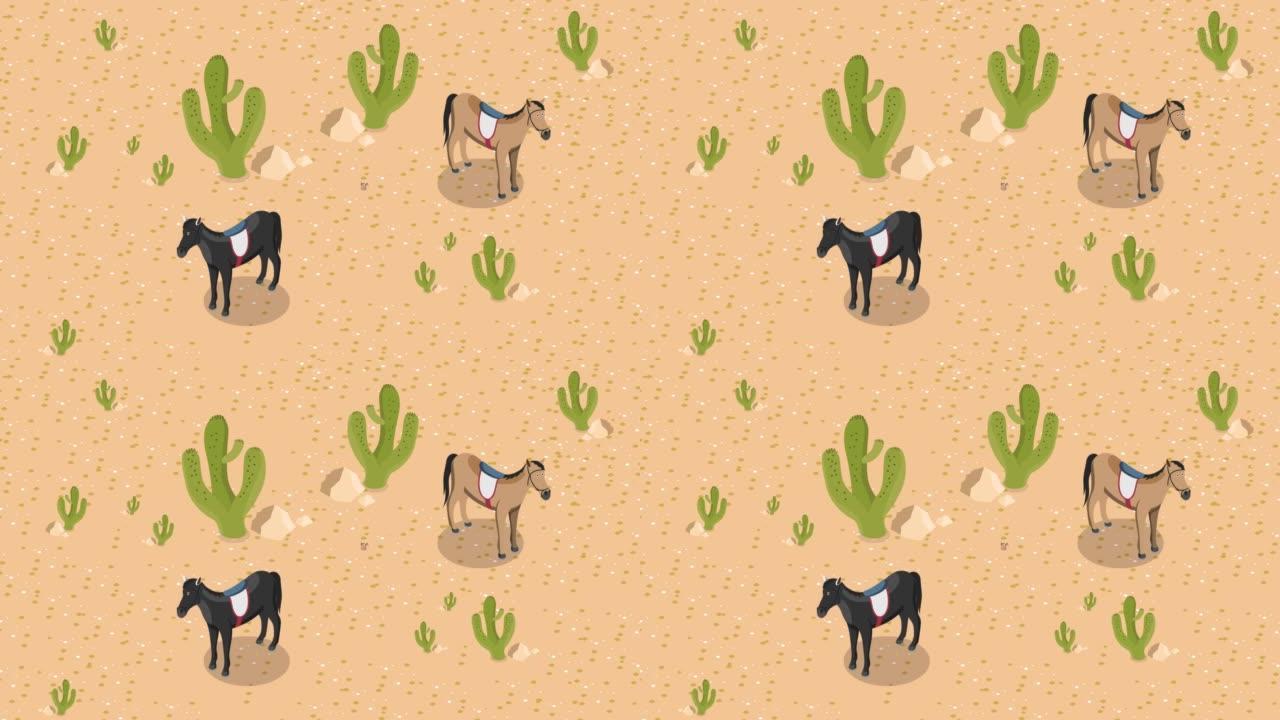 两匹马站在沙漠上