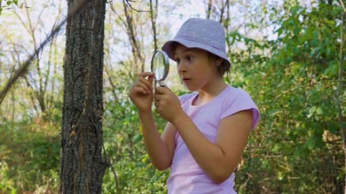带着放大镜的小孩子博物学植物学家惊讶和震惊地探索树皮。