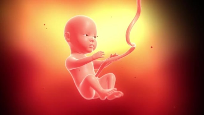 未出生的婴儿在子宫内发育和生长。醒着，准备出生。