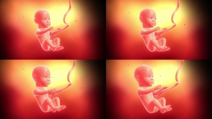 未出生的婴儿在子宫内发育和生长。醒着，准备出生。