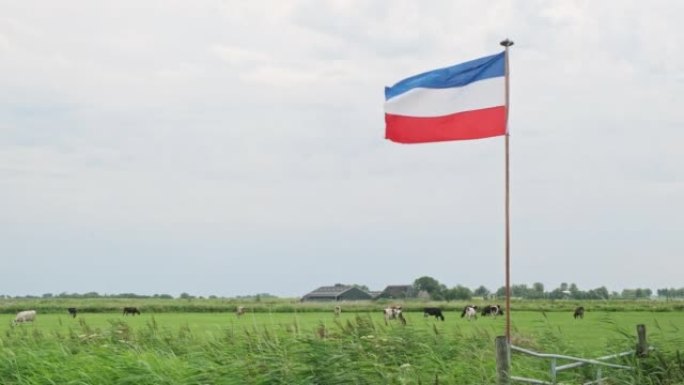 荷兰红白蓝倒挂国旗在一个有牲畜的农田里