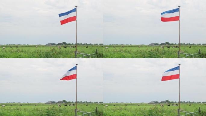 荷兰红白蓝倒挂国旗在一个有牲畜的农田里