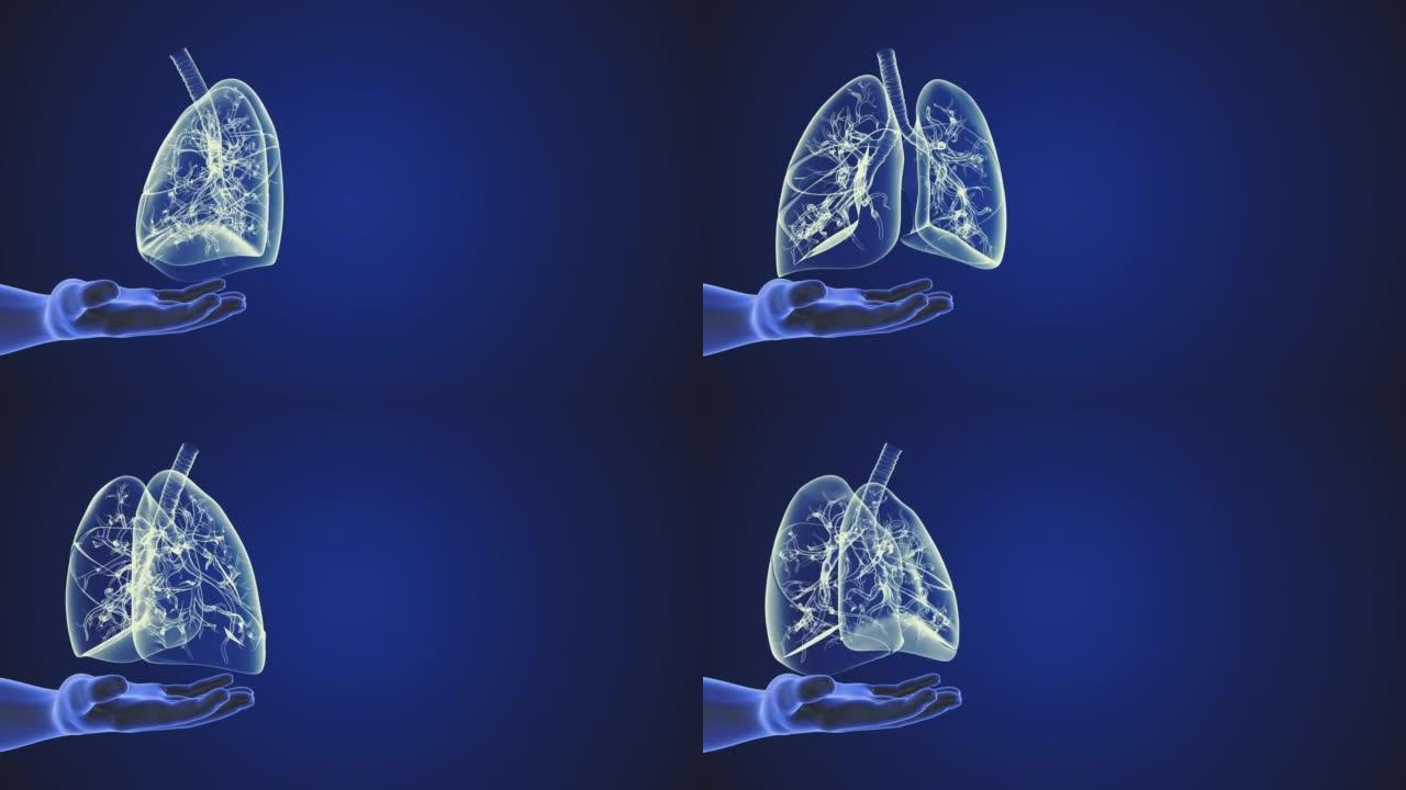 手持旋转肺的医学概念