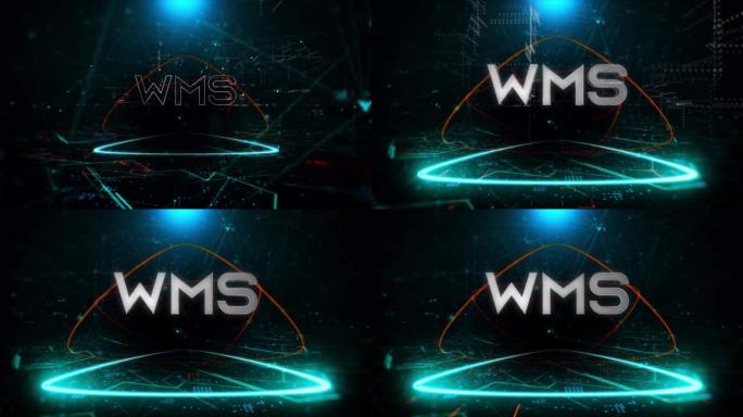 在数字媒体中编写WMS: WMS股票mp4视频-背景WMS