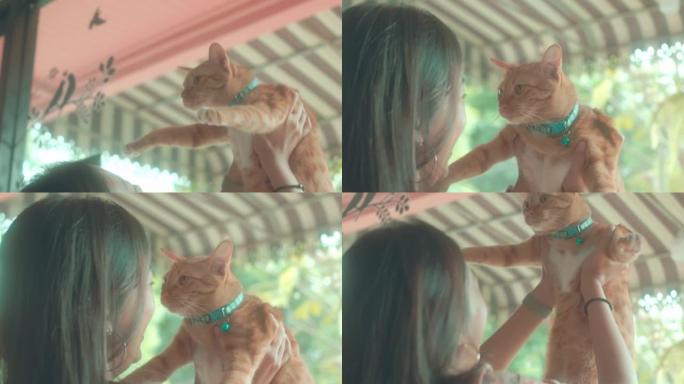 亚洲女人抱着虎斑猫看着新家玻璃窗边的景色。收养流浪猫的概念要有一个爱并能照顾他们的新主人。
