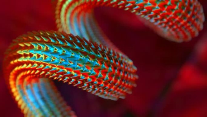 明亮生动的蛇体移动特写红色背景3D 4k循环动画