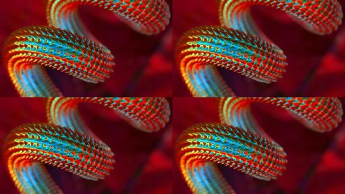 明亮生动的蛇体移动特写红色背景3D 4k循环动画