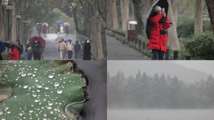 苏堤雪景