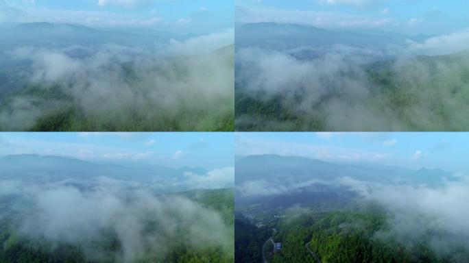 Aerial photography of sea of clouds and green fore